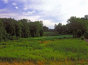 Lookaway 18th Fescue